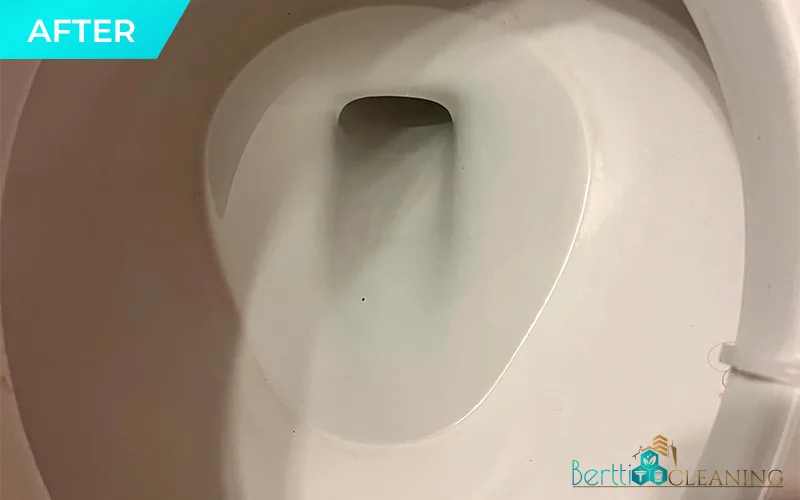 After: Toilet bowl with hard-water staining
