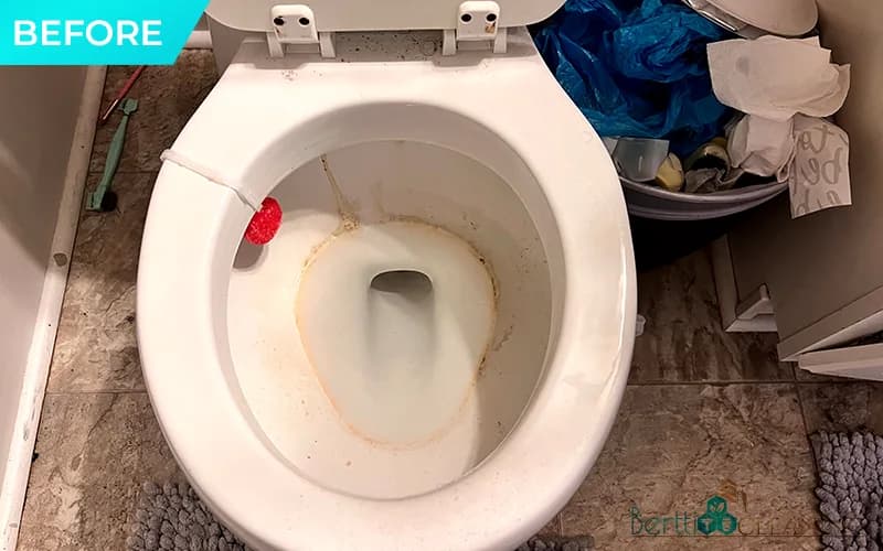 Before: Toilet bowl with hard-water staining